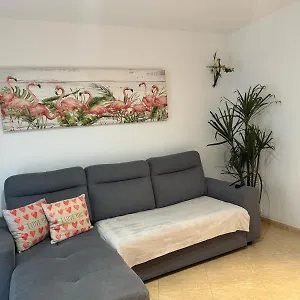 Parrot's House Льорет-де-Мар